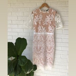 Lulus lace white/nude dress